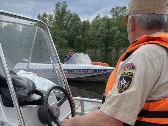 Белгородцев просят не плавать на автомобильных камерах