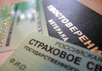 Россиянам напомнили о праве на досрочные пенсионные выплаты
