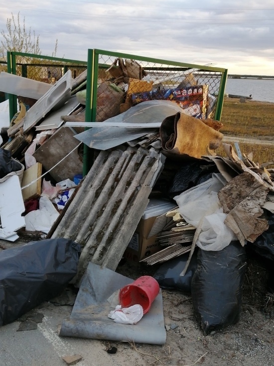 «Уже крысы бегают»: коммунальщики игнорируют заваленную мусором контейнерную площадку в Салехарде