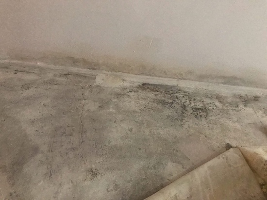 «Квартира-убийца»: стены в комнате пенсионера из Ноябрьска заросли плесенью