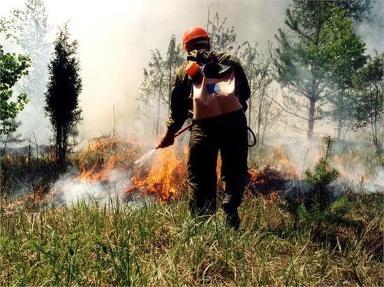 200 человек дополнительно привлекут к тушению лесов в Якутии