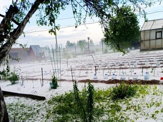 В Калужской области град с яйцо уничтожил посадки на огородах