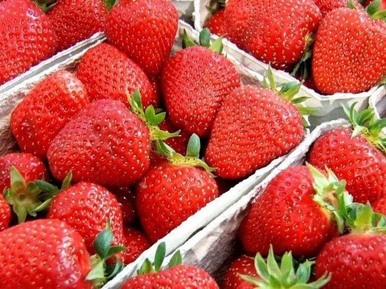 В Татарстане создадут центры заготовки ягод и растительного сырья