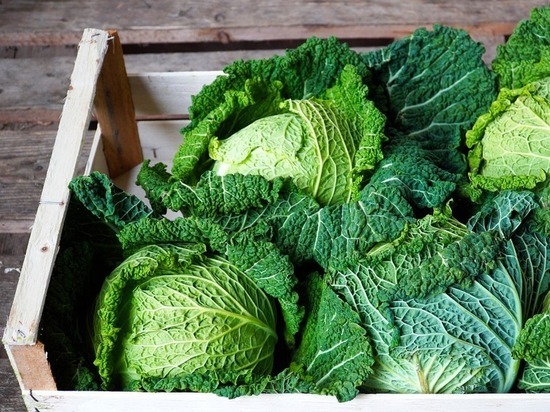 В ЛНР на 4 рубля подешевела капуста