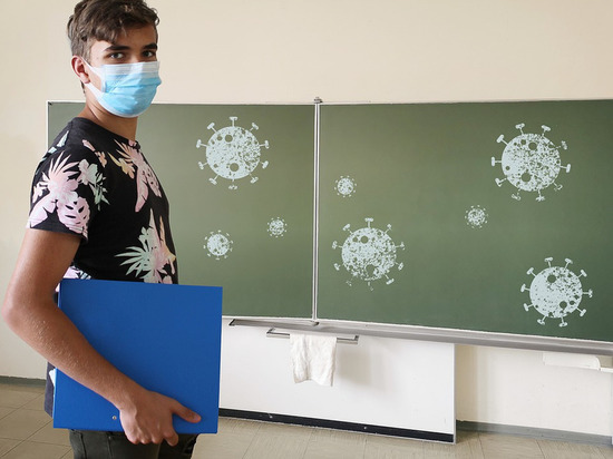 431402 тестов на коронавирус сделали в Смоленской области