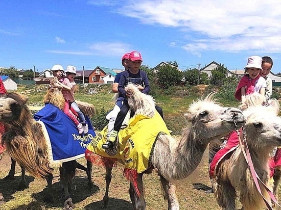Отдых для калмыцких детей начался с поездки на верблюжий остров