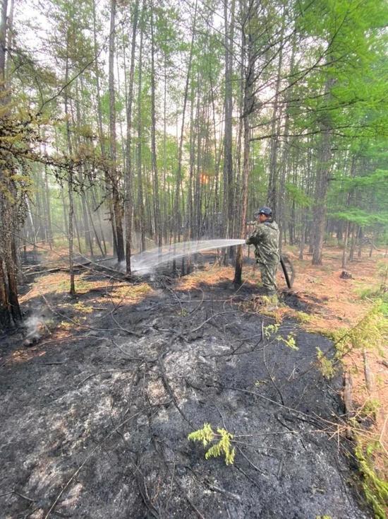 За сутки в Якутии ликвидировали восемь лесных пожаров