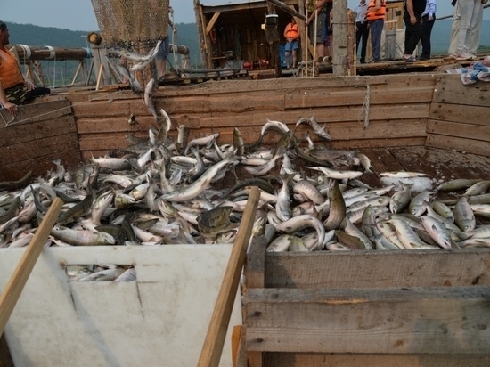В рыбном хозяйстве Китая, граничащем с ЕАО, запретили ловить рыбу