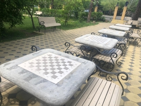 Турниры по шахматам будут проводить каждое воскресенье в парке Читы