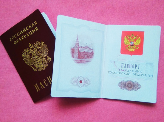 Гражданство России получили свыше 260 000 жителей ДНР
