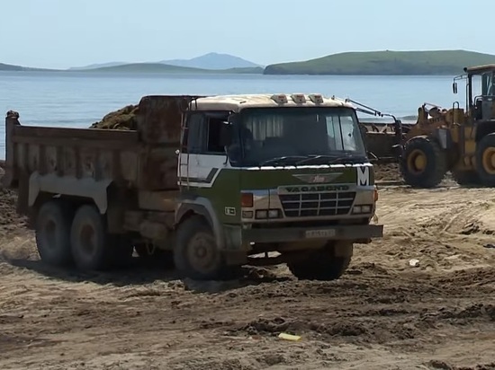 В Приморье взялись за восстановление пляжа «Маньчжурка»