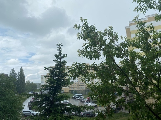 13 июня в Рязанской области выпустили метеопредупреждение из-за грозы и града