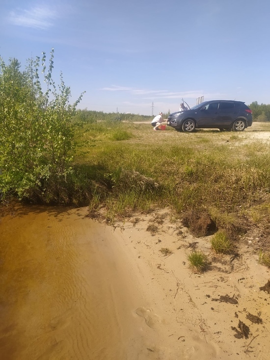 Природа и экология: автомойка на озере возмутила жителей Ноябрьска