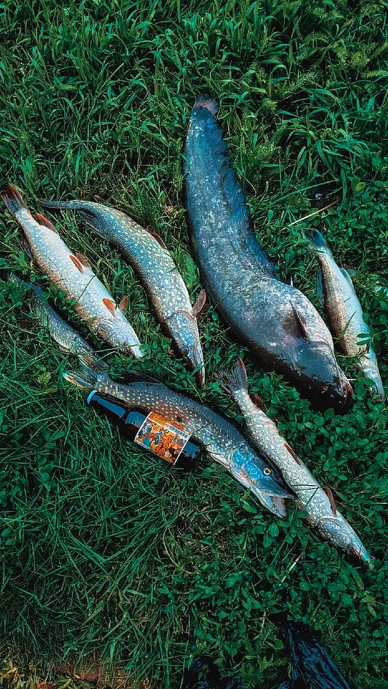 Рыбалка в Рязанской области: фото после снятия нерестового запрета