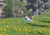 Власти Москвы предупредили жителей столицы о штрафах за использование городской инфраструктуры в парках в период с 13 по 20 июня, а именно – детских площадок