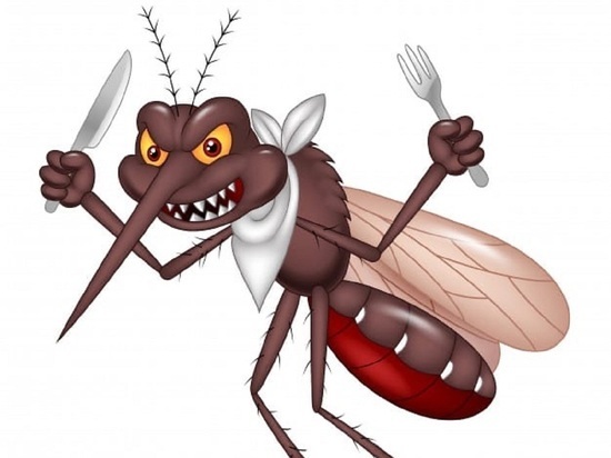 «Озверели с голодухи»: полчища комаров донимают жителей Ноябрьска