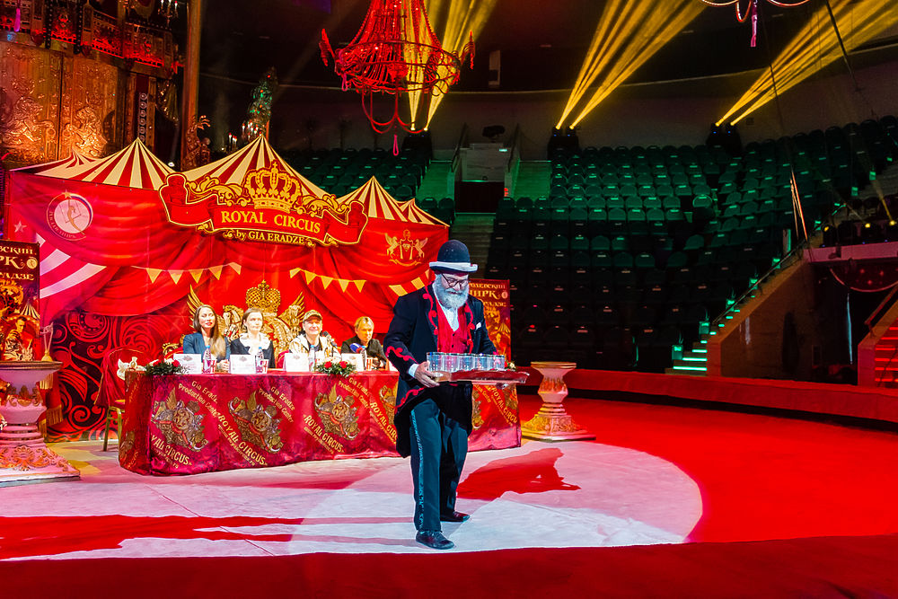Впервые в Рязани «Королевский цирк» Гии Эрадзе: кадры уникального шоу