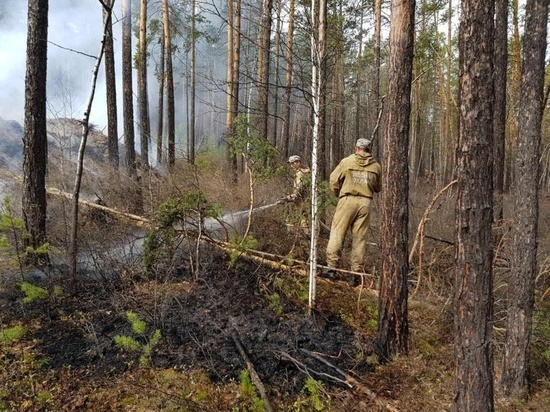Девять пожаров потушили за сутки в лесах Приангарья