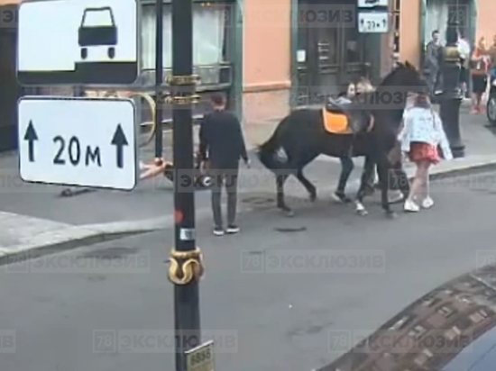 На улице Рубинштейна лошадь лягнула скейтера в голову