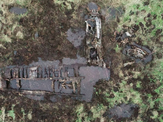 Поисковики на Сахалине в болоте обнаружили самолет