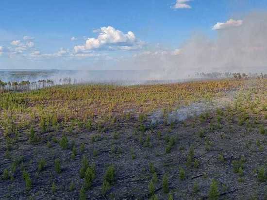 В Якутии за сутки ликвидированы четыре лесных пожара