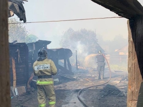 Из-за резкого увеличения пожаров в Челябинске глава города обратилась к жителям