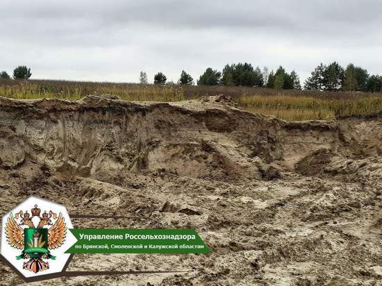Брянский суд обязал ООО «Спецтехстрой» рекультивировать нарушенную почву