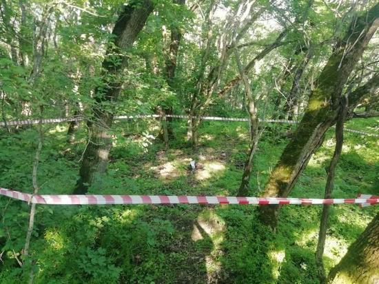 Грибник нашел военный снаряд в лесу Железноводска