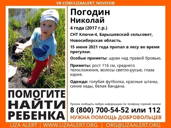 4-летний мальчик пропал во время прогулки в Новосибирской области