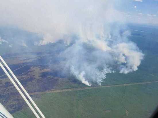 На тушение лесных пожаров Якутии дополнительно выделено 380 млн рублей