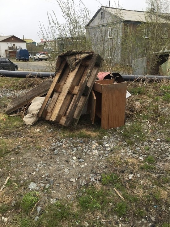 «Лежит 3 недели»: жители Лабытнанги сами собрали мусор со двора и не могут добиться его вывоза