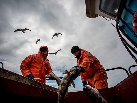 Закон о рыболовстве принят российским парламентом в окончательном решении