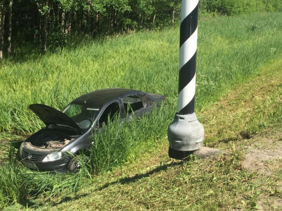 Водитель Renault сбил лося на трассе в Великом Новгороде