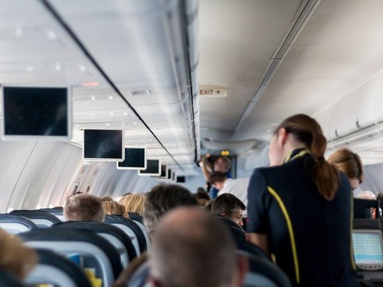 Пассажир украл спасательный жилет из самолета в Новосибирске