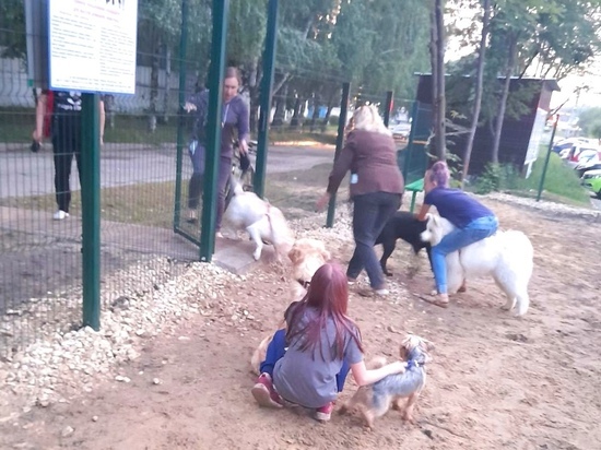 Первая площадка для выгула собак в Тамбове пользуется популярностью