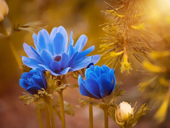 Летняя погода будет радовать жителей Смоленской области 18 июня