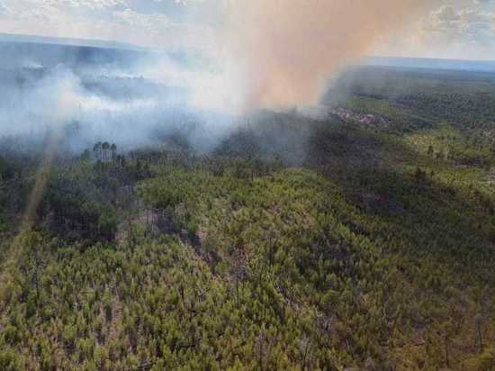По данным на утро 18 июня в Якутии тушат 12 лесных пожаров