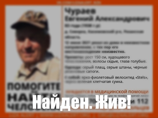 Пропавшего в Касимовском районе пенсионера нашли живым