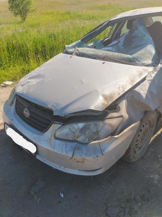 Житель Дновского района пострадал в ДТП из-за выбежавшей на дорогу собаки