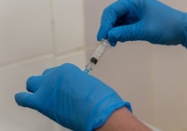 На данный момент в Российской Федерации официально зарегистрированы 4 вакцины от коронавируса