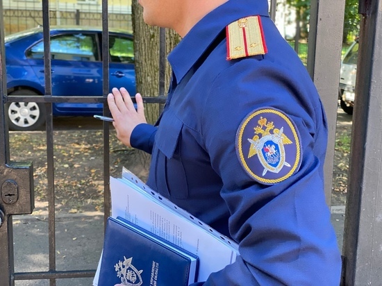 СК проводит проверку по делу об избиении 13-летней девочки на Валдае
