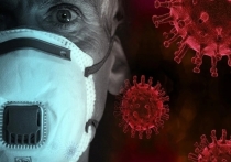 В Красноярском крае 7 человек погибли от коронавируса за сутки на 18 июня