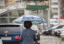 В ночь на 20 июня в Новосибирске ожидаются дождь и град