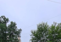 В Октябрьском районе Новосибирска из-за сильного ветра упало дерево посреди пешеходной дорожки
