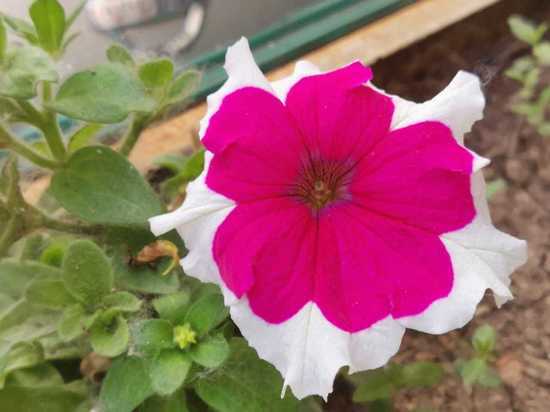 Озвучен прогноз погоды в Хабаровске и крае на 20 июня 2021