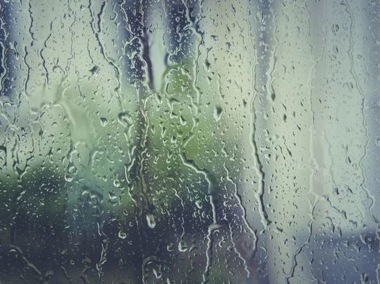 Дожди с грозами прогнозируются в некоторых районах Приамурья 21 июня