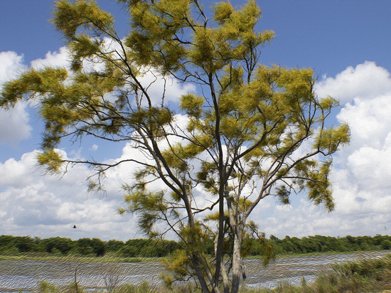 В ЛНР объявили штормовое предупреждение