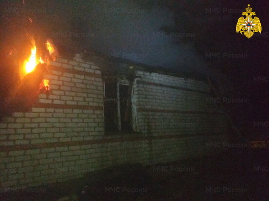 В смоленских Барсуках бдительный пес спас хозяев, предупредив о пожаре