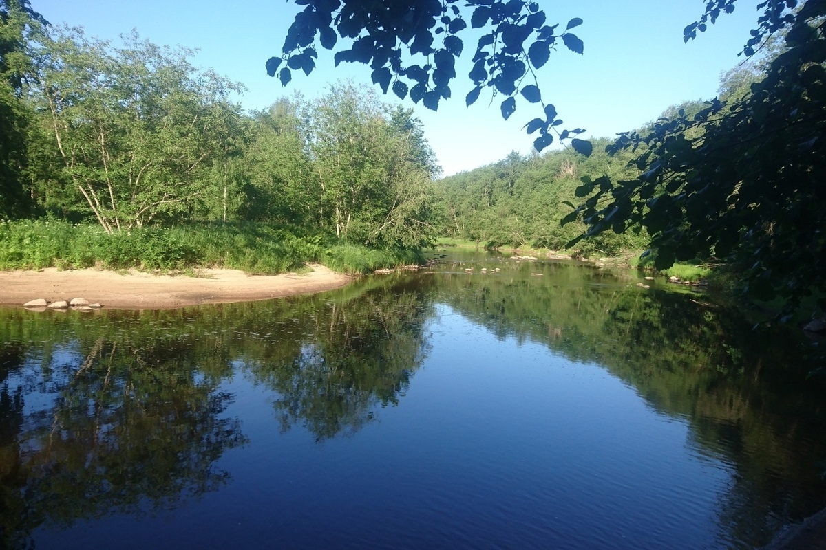 Водоемы новгорода. Чистые водоемы Новгородской области. Лето пруд фото.