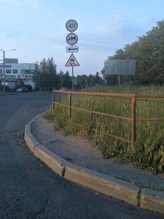 В Петрозаводске активизировались автомобилисты-сторонники стрижки газонов